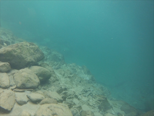 DSCF0877_R_R_R