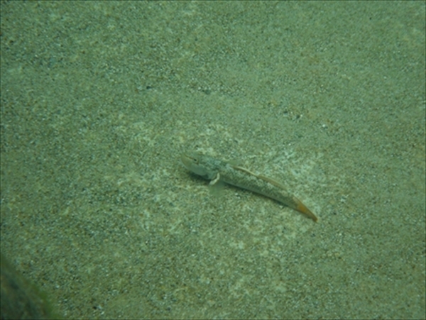 DSCF0879_R_R_R