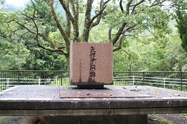 IMG_8378_T1