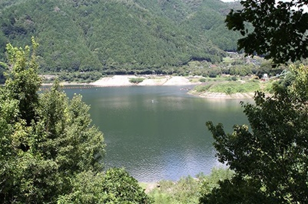 IMG_8394_T1