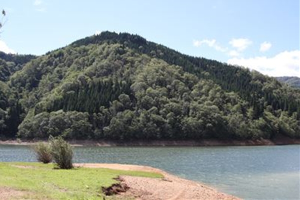 IMG_8796_B_T1