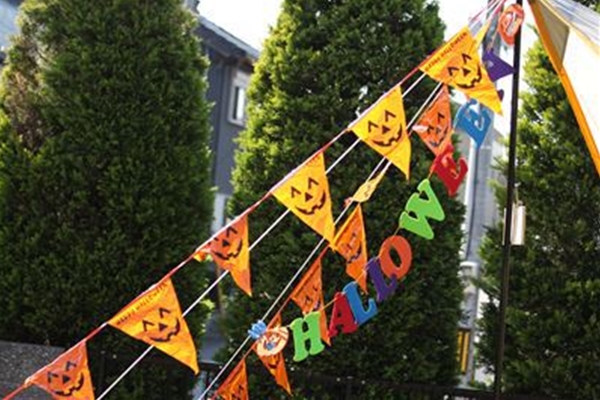 IMG_0085_T_T1