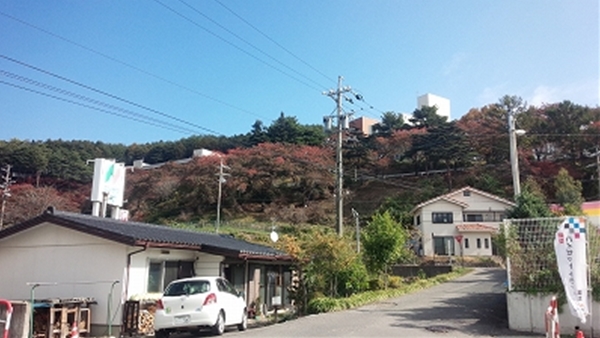 IMG_20141027_112323_T1