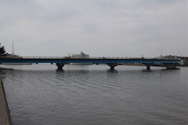 IMG_9708_T_T1