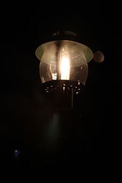 IMG_9796_T_T1
