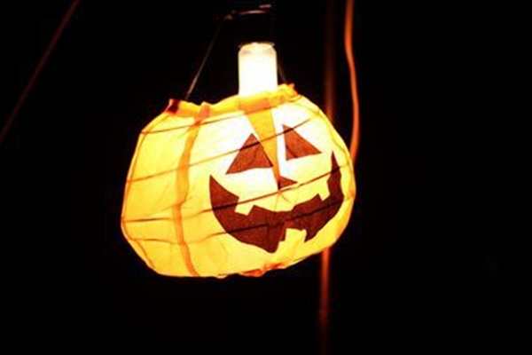 IMG_9902_T_T1