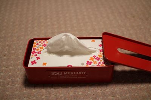 IMG_0253_T_T1