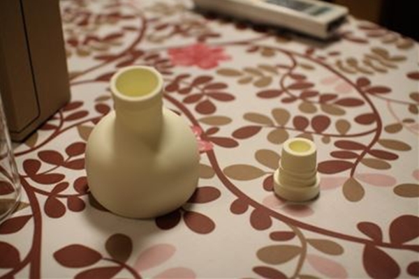 IMG_0394_T_T1