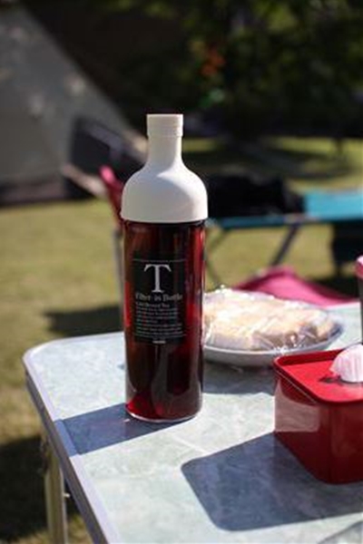 IMG_0503_T_T1