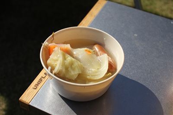 IMG_0531_T_T1