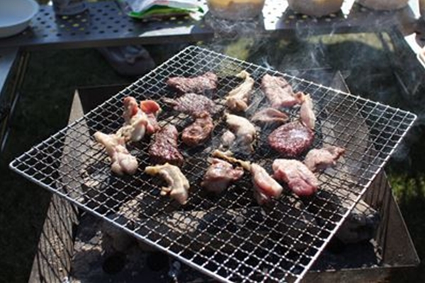 IMG_0534_T_T1