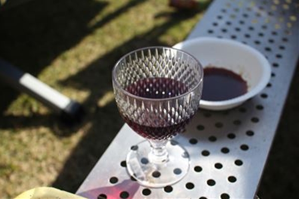 IMG_0537_T_T1