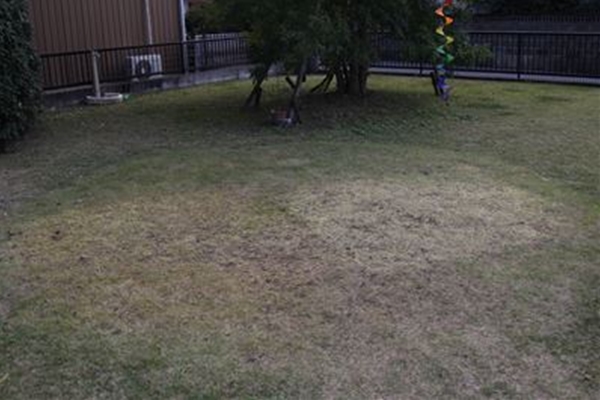 IMG_0623_T_T1