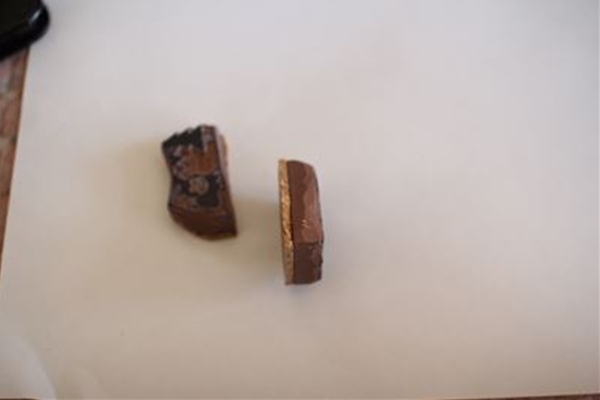 IMG_0645_T_T1