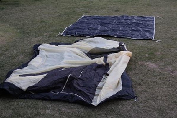IMG_0668_T_T1