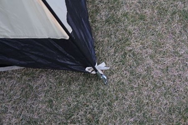 IMG_0691_T_T1