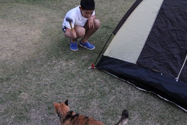 IMG_0698_T_T1