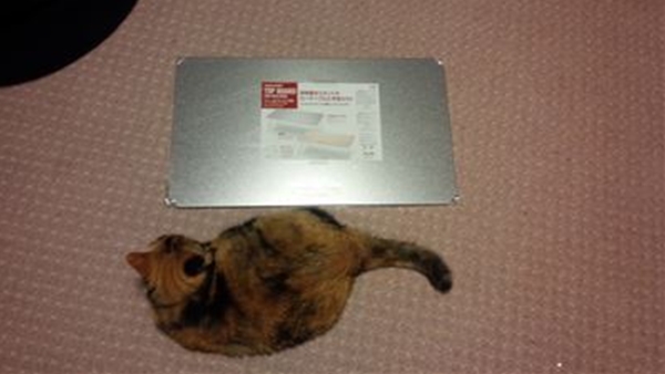 IMG_20141105_180349_T_T1