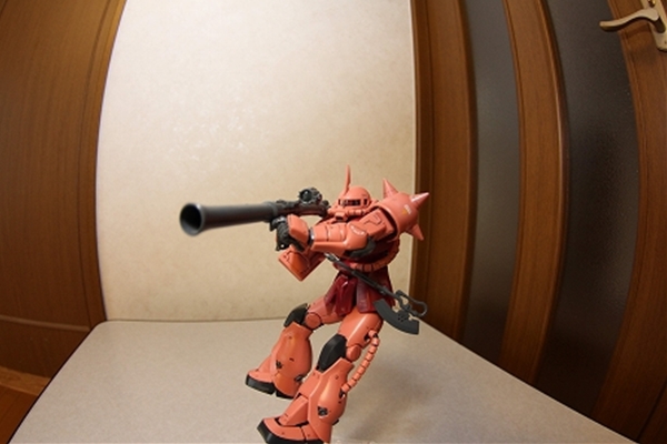 IMG_2894_compressed_T1