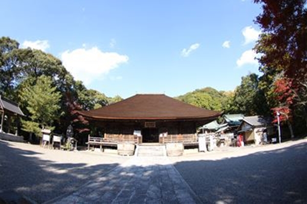 IMG_7060_T_T1