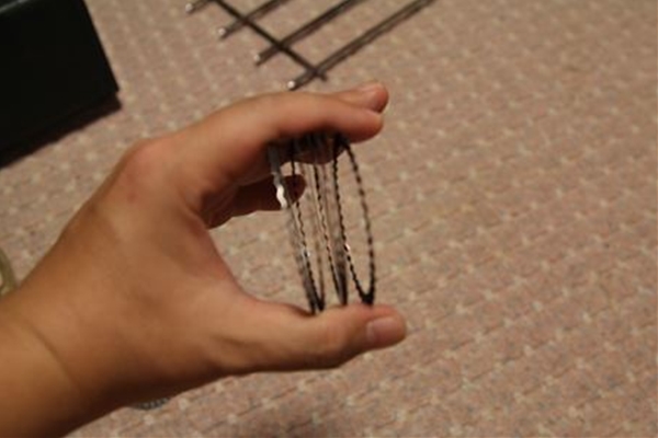 IMG_1734_T_T1