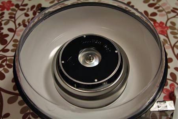 IMG_1754_T_edited-1_T1
