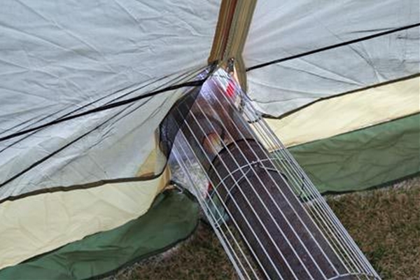 IMG_2046_T_edited-1_T1