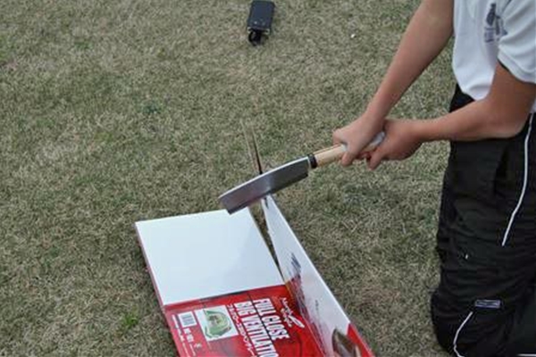 IMG_2049_T_edited-1_T1