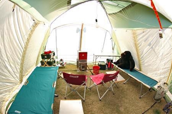 IMG_2079_T_edited-1_1_T1