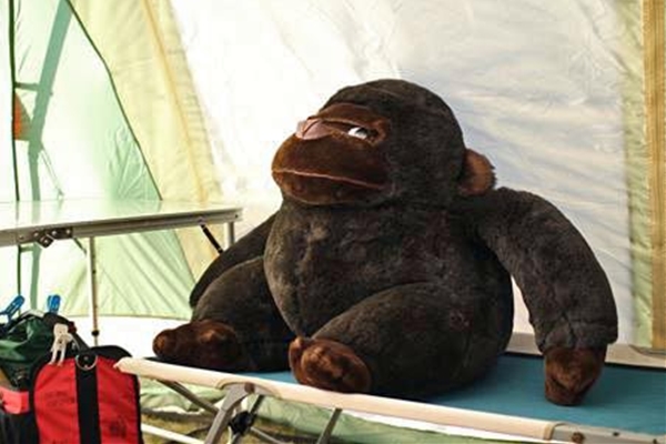 IMG_2096_T_edited-1_T1