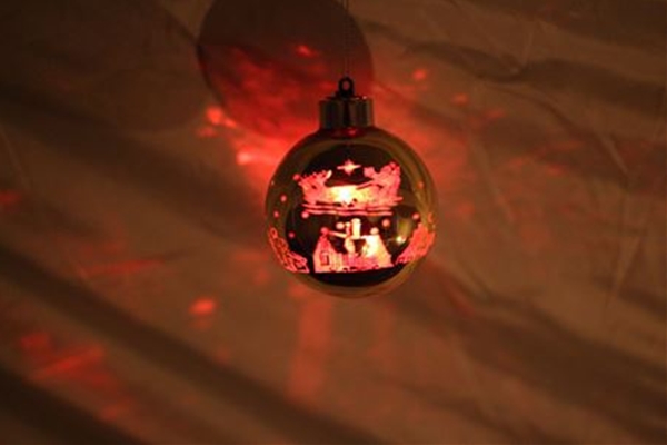 IMG_2354_T_T1