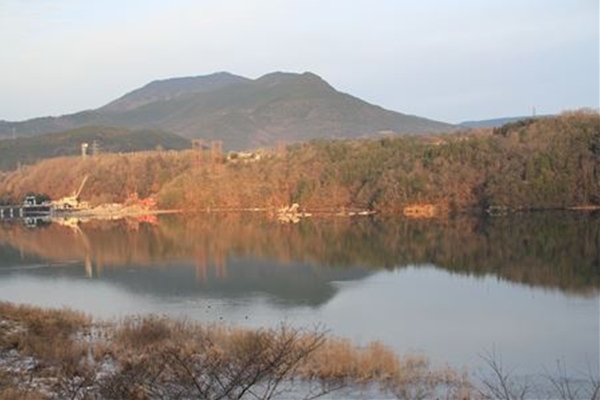 IMG_2631_T_T1