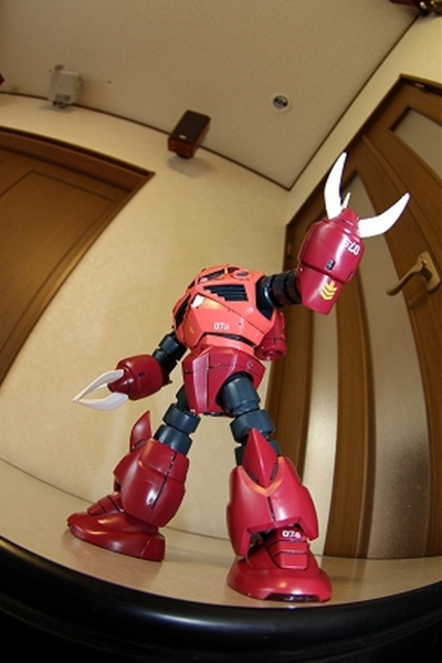 IMG_2757_compressed_T1