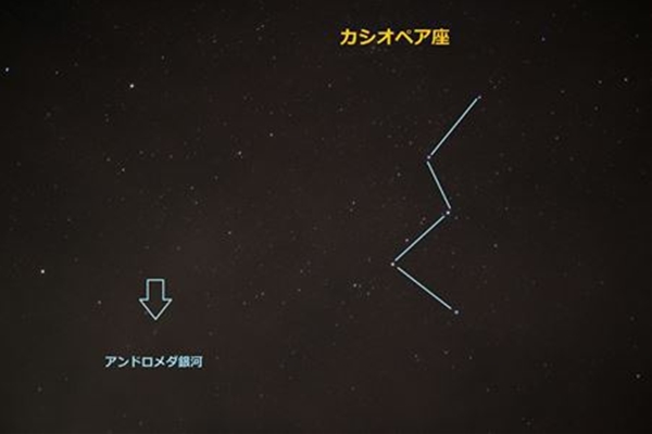 カシオペア2_T_T1