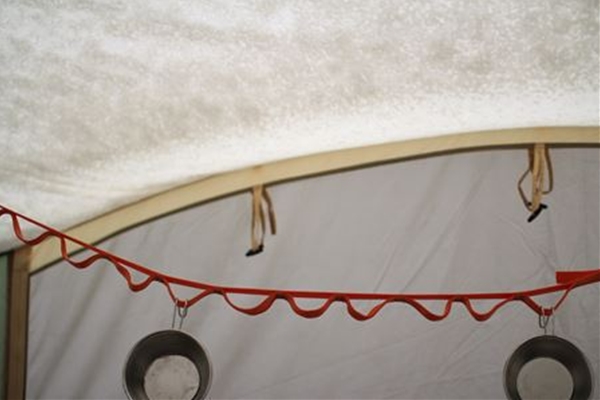 IMG_2738_T_T1