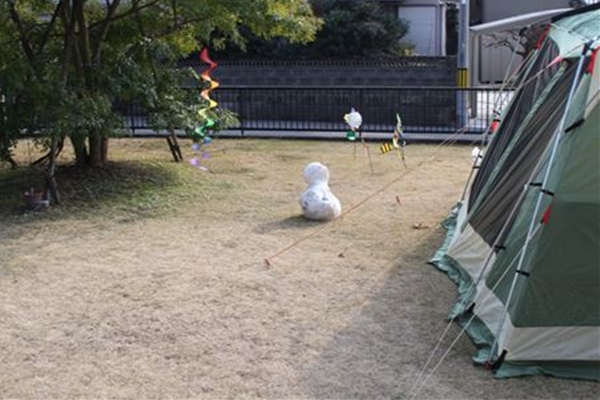 IMG_2771_T_T1