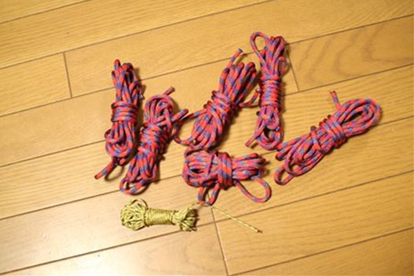 IMG_2788_T_T1
