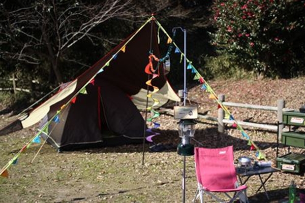 IMG_2962_T_T1