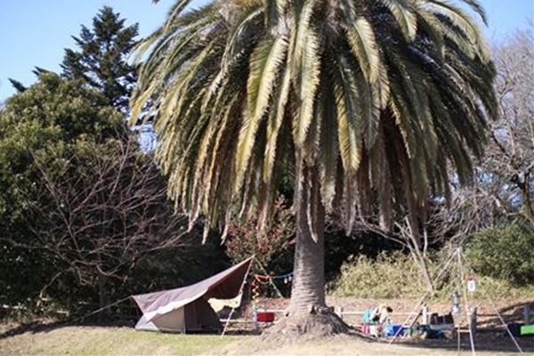 IMG_2974_T_T1
