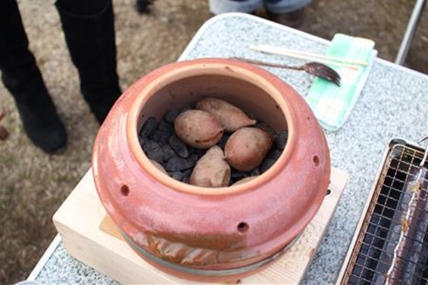 IMG_3005_T_T1