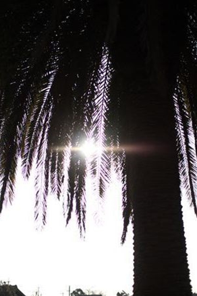 IMG_3090_T_T1