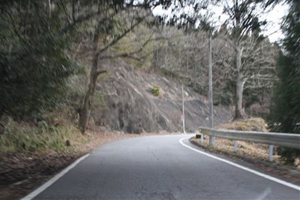 IMG_3141_T_T1