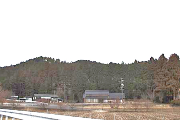 IMG_3147_T_T1