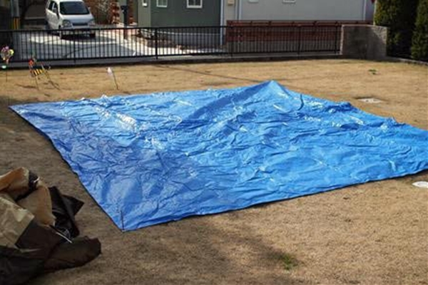 IMG_3112_T_edited-1_T1