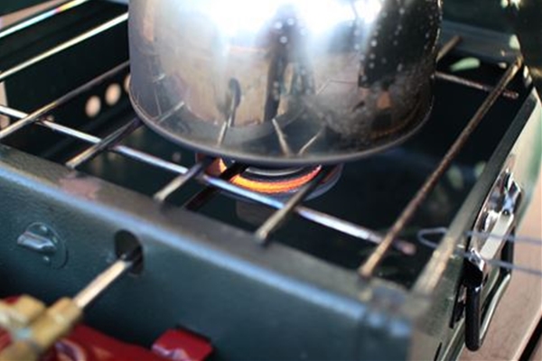 IMG_3446_T_T1