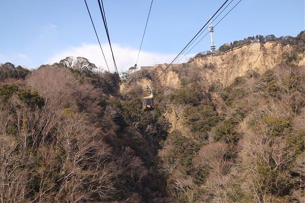 IMG_3590_T_T1