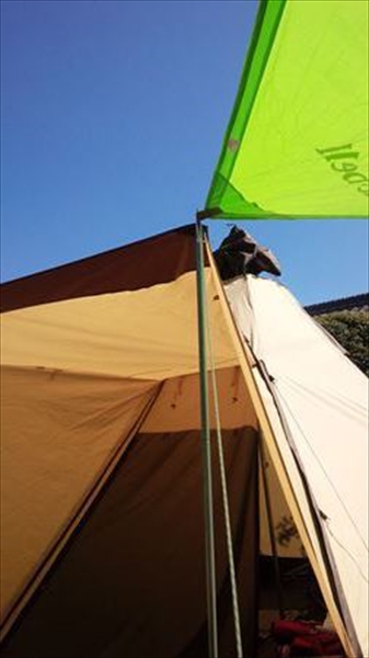 IMG_20150327_103508_T_R