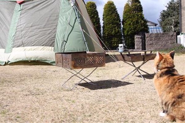 IMG_4003_T_T1
