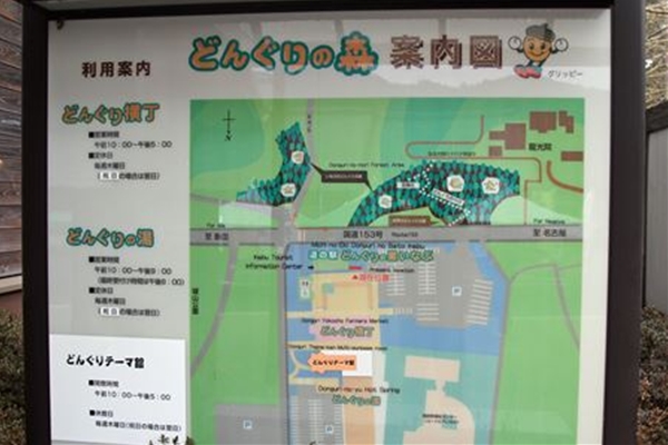 IMG_4051_edited-1_T_T1