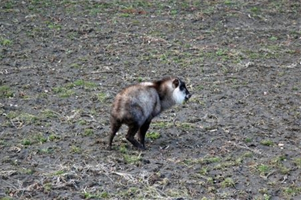 IMG_4116_edited-1_T_1_T1